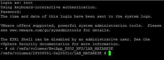 2015_03_FernandoMatarese_Renomear_Arquivo_de_Disco_VMDK_no_VMware_Figura04